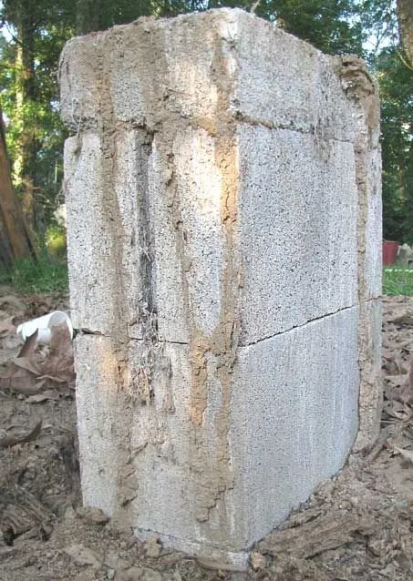 Formosan subterranean termite mud tubes on a foundation wall in Mobile, AL