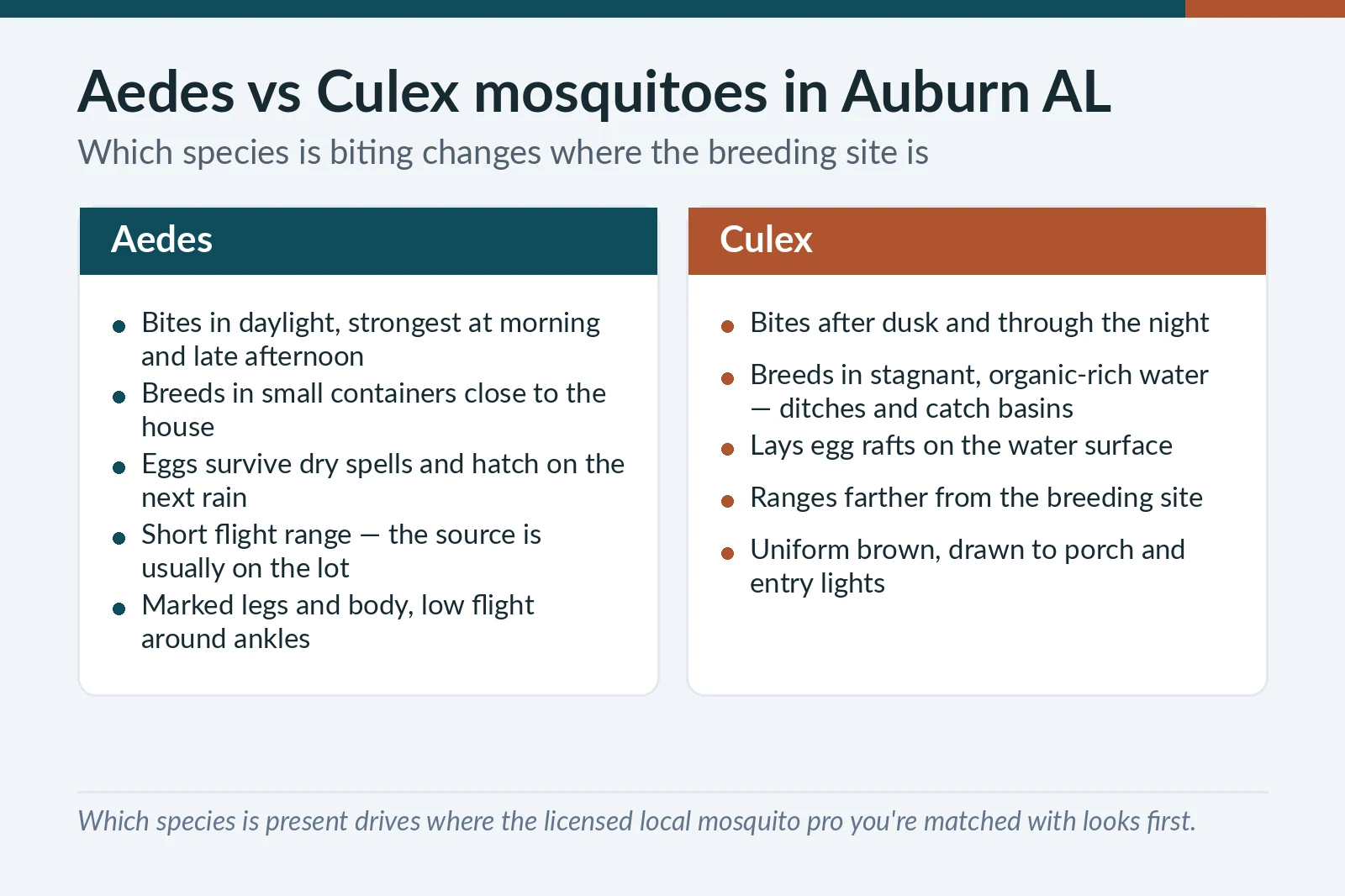 Aedes versus Culex mosquito identification chart for Auburn, AL creek-fed neighborhoods — biting time, breeding site and flight range