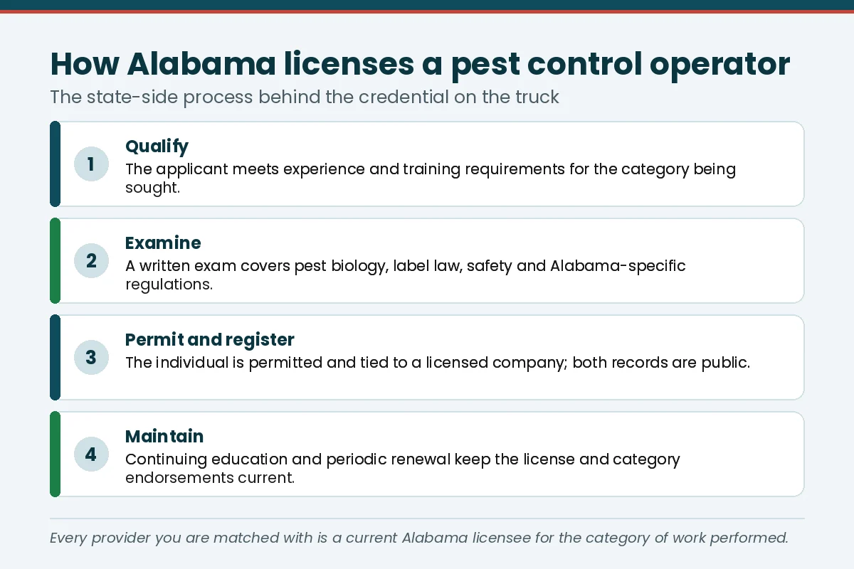 Four-step graphic of how Alabama licenses a pest control operator — qualify, examine, permit and register, then maintain