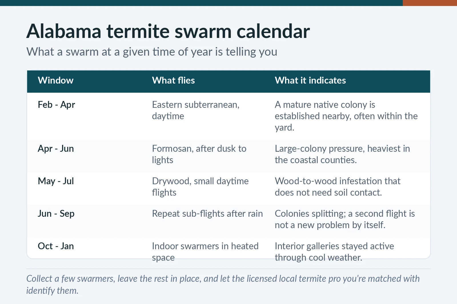 Alabama termite swarm calendar chart — eastern subterranean, Formosan and drywood flight windows and what each swarm indicates