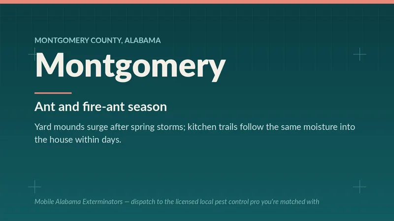 Montgomery, AL ant pressure panel covering yard fire-ant mounds and indoor kitchen trails