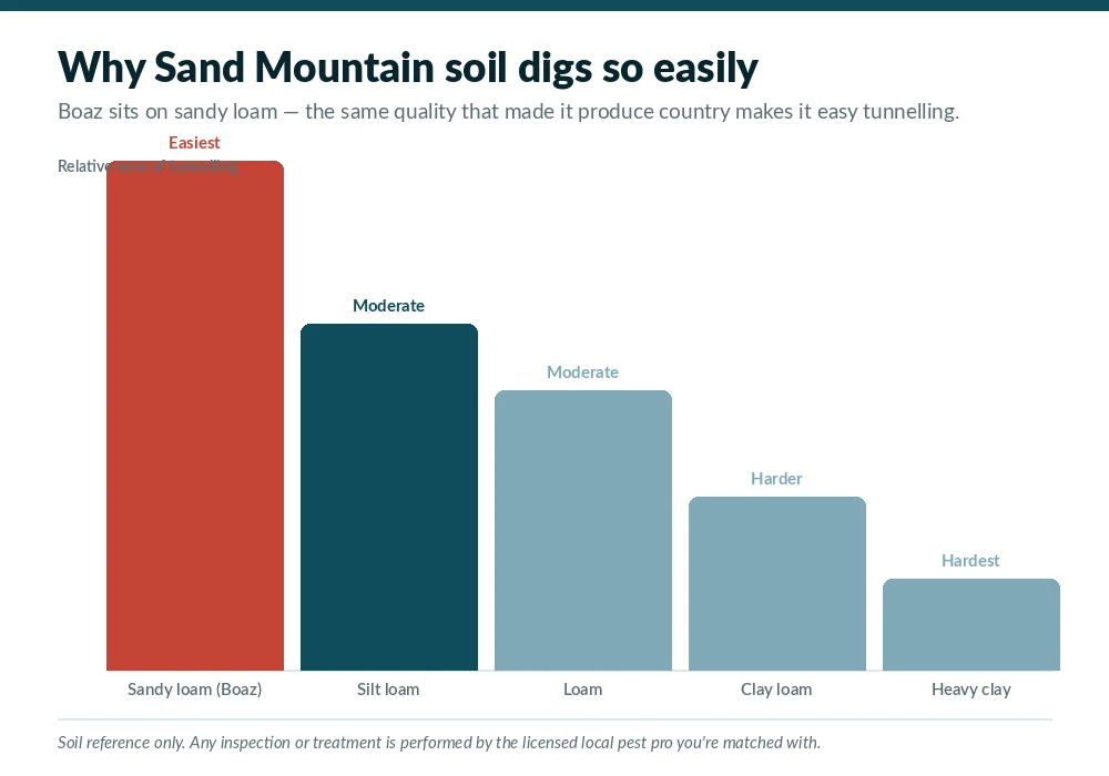 Chart comparing how easily different Alabama soils are tunnelled, showing Sand Mountain sandy loam around Boaz, AL as the easiest digging
