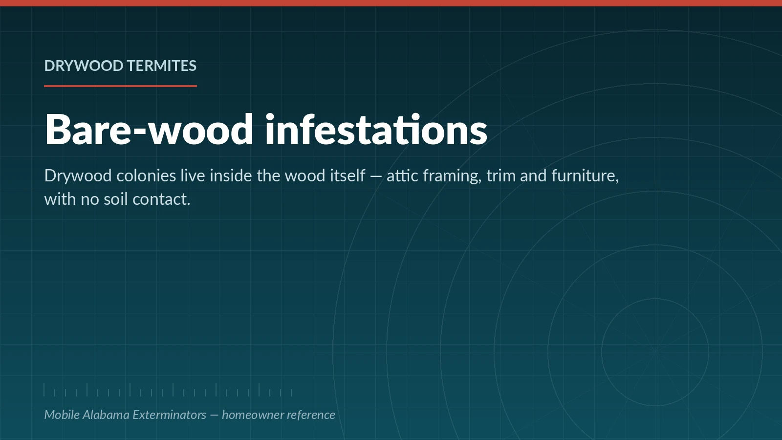 Reference panel on drywood termite infestations in bare wood in Mobile, Alabama homes