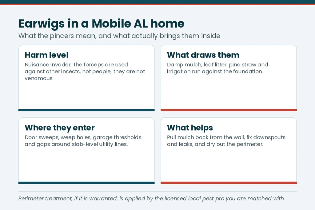 Fact card explaining earwigs in a Mobile AL home — harm level, what draws them, where they enter and what helps