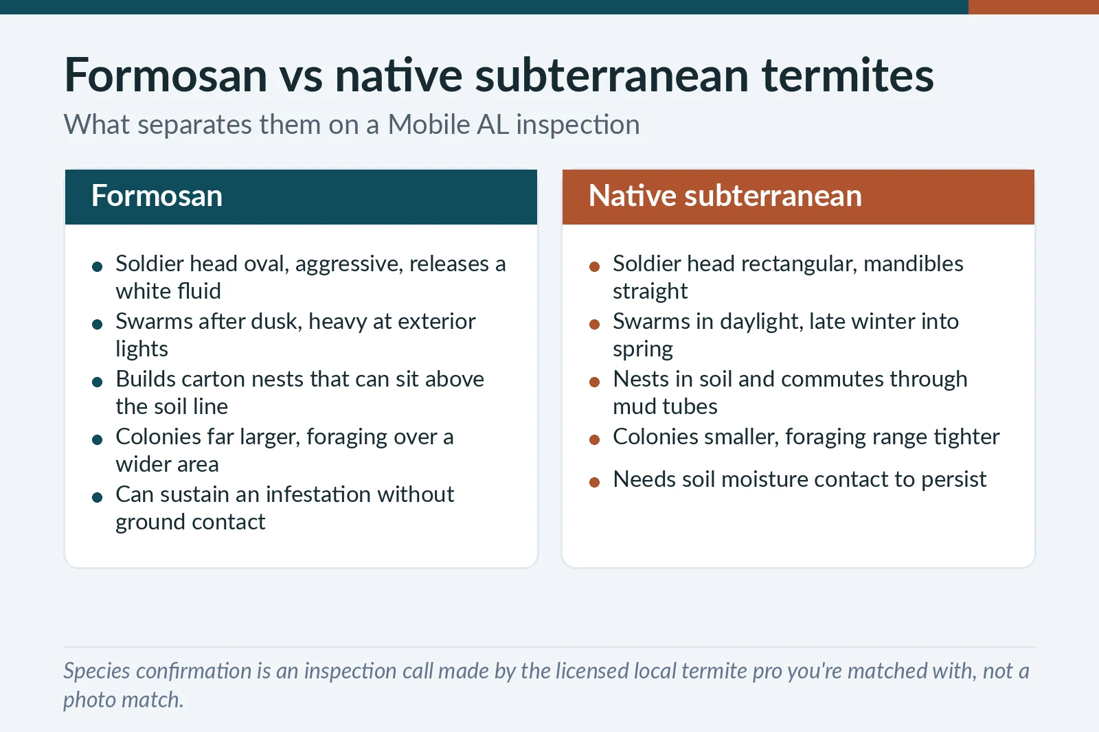 Formosan versus native subterranean termite identification chart for Mobile, AL — soldier head shape, swarm timing and nesting behavior