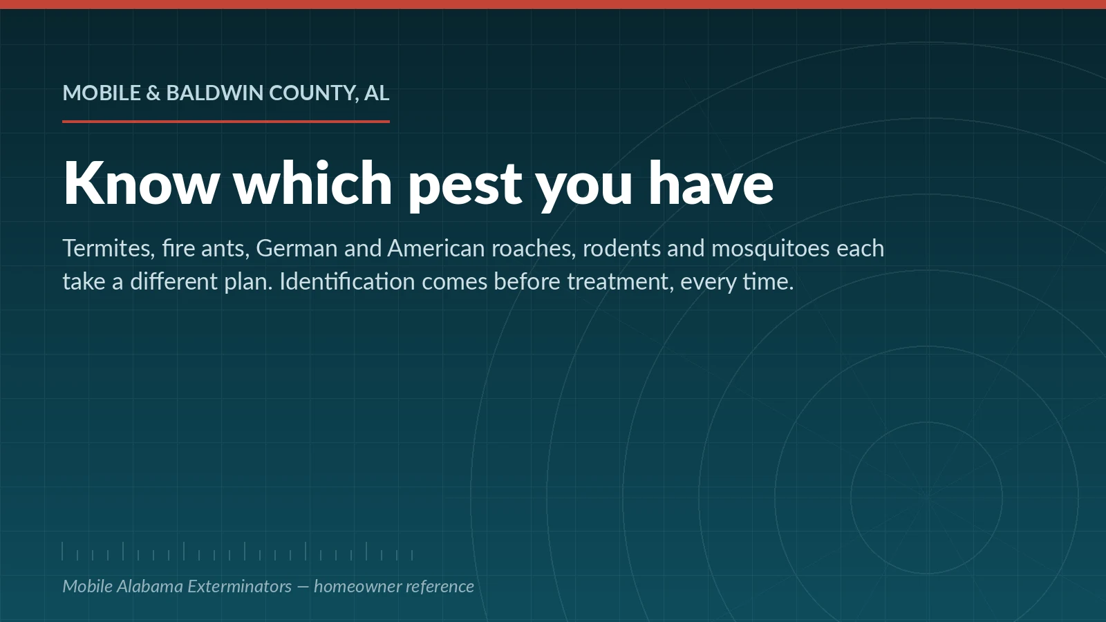 Gulf Coast pest species index for Mobile and Baldwin County, Alabama — the pests that drive most local service calls