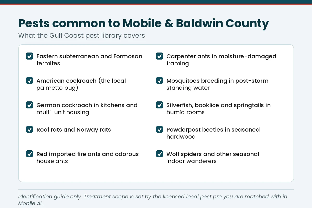 Checklist graphic of the pests common to Mobile and Baldwin County AL, from subterranean termites and palmetto bugs to roof rats and fire ants
