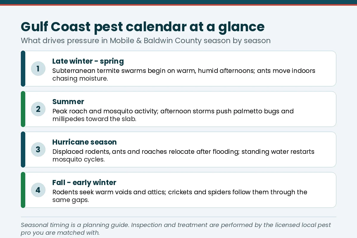 Seasonal calendar graphic of Gulf Coast pest pressure in Mobile and Baldwin County AL across spring swarms, summer roaches, hurricane season and fall rodents