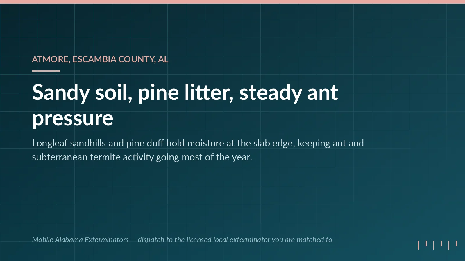 Mobile Alabama Exterminators panel on pest pressure in Atmore, AL: Escambia County sandy soil and pine litter driving ant and termite activity