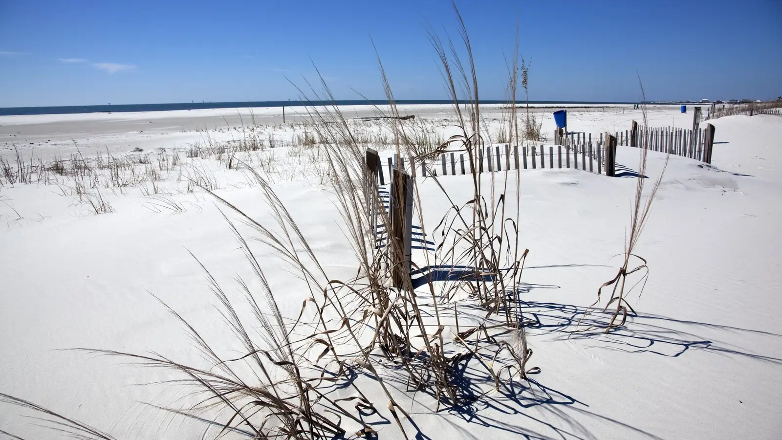 Beach dunes on Dauphin Island, Alabama, where sandy coastal lots surround exposed island homes