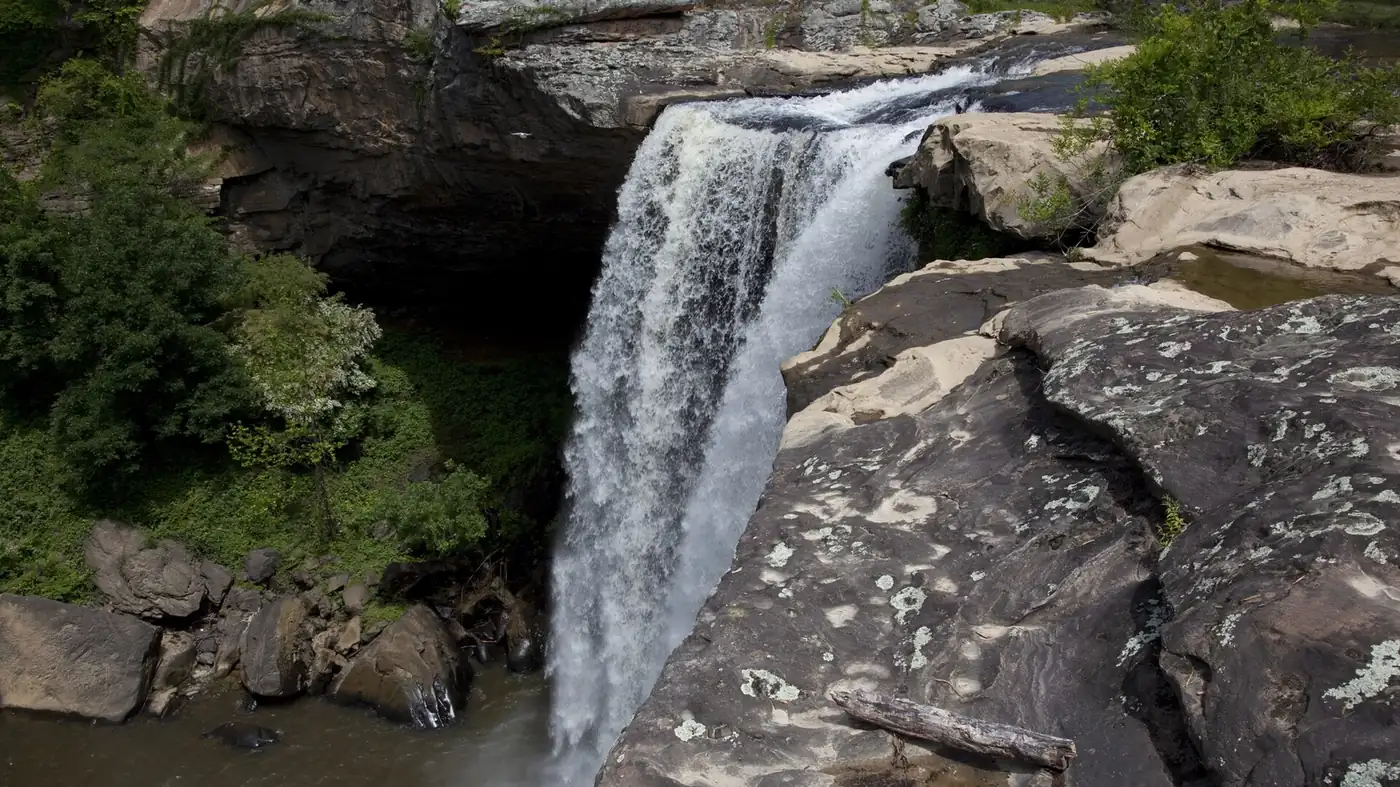 Noccalula Falls on Black Creek at Gadsden, AL, where creek humidity and older housing stock drive the pest pressure a licensed local exterminator is matched to