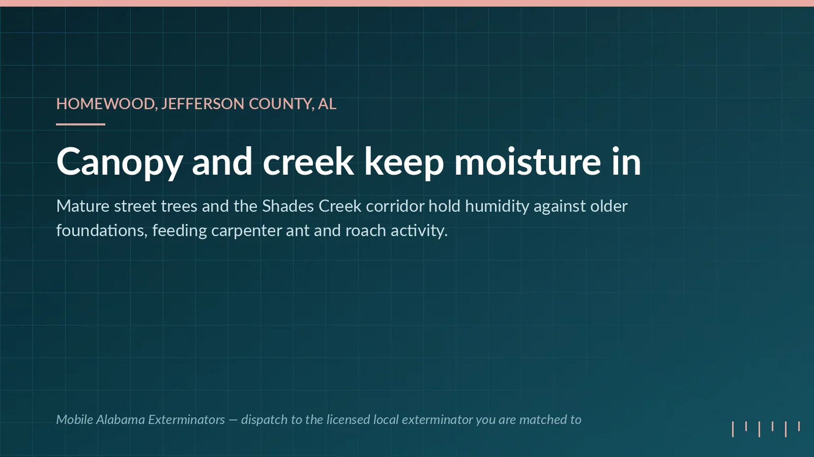 Mobile Alabama Exterminators panel on pest pressure in Homewood, AL: Shades Creek corridor and mature canopy holding moisture against older foundations