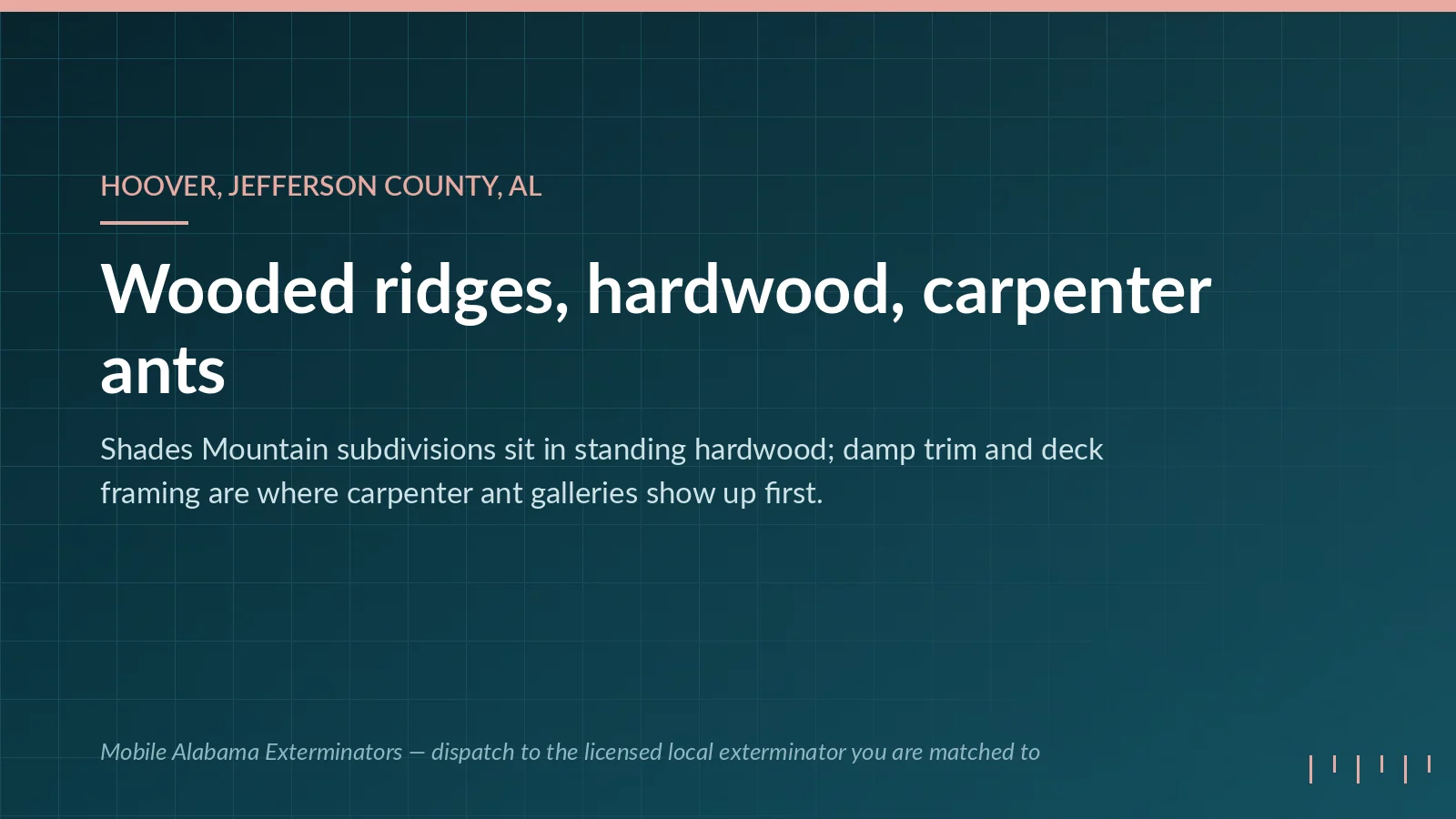 Mobile Alabama Exterminators panel on pest pressure in Hoover, AL: Shades Mountain wooded subdivisions and carpenter ant activity in damp framing