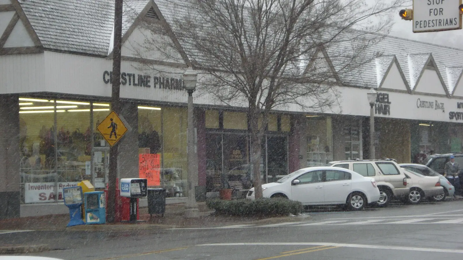 Crestline Village storefronts in Mountain Brook, AL, where older masonry buildings under heavy canopy shape carpenter ant and moisture pest calls