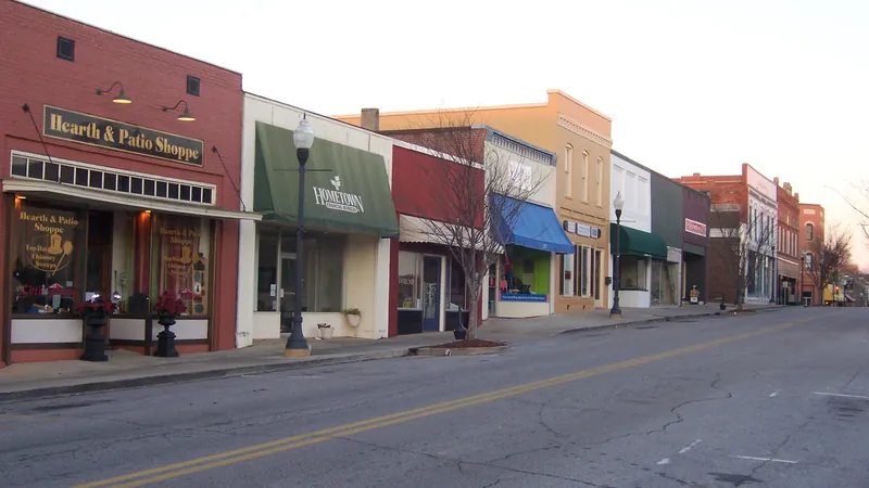 Historic downtown block in Opelika, AL, where shared walls and old brick drive steady pest pressure