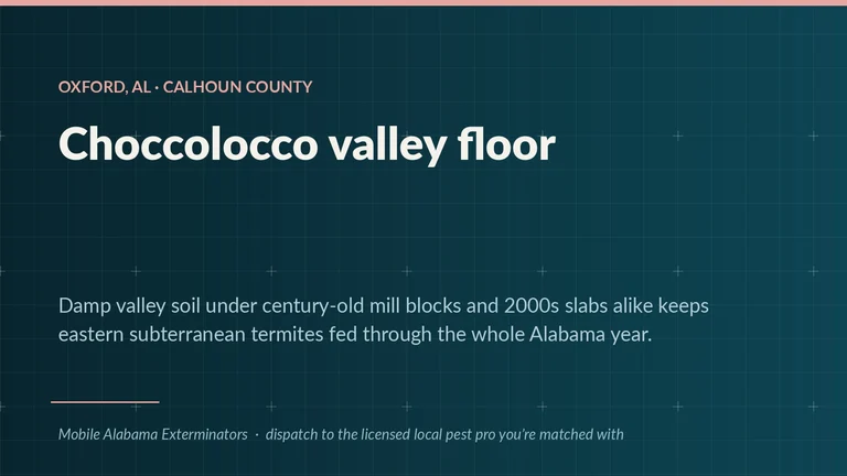 Field card for Oxford, Alabama — Choccolocco valley-floor soil under mill-town crawlspaces and 2000s slabs