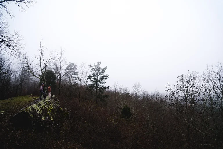 Wooded ridge at Oak Mountain State Park above Pelham, Alabama — the forest edge that sends field rodents downslope into hillside foundations each fall