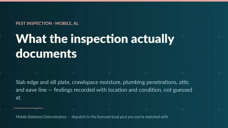 Inspection scope card for Mobile, AL — slab edge, sill plate, crawlspace moisture, plumbing penetrations and the eave line