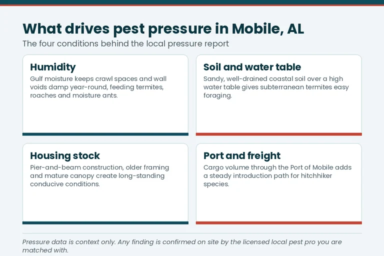 Termite pressure drivers fact card for Auburn, AL homes on pier and slab foundations