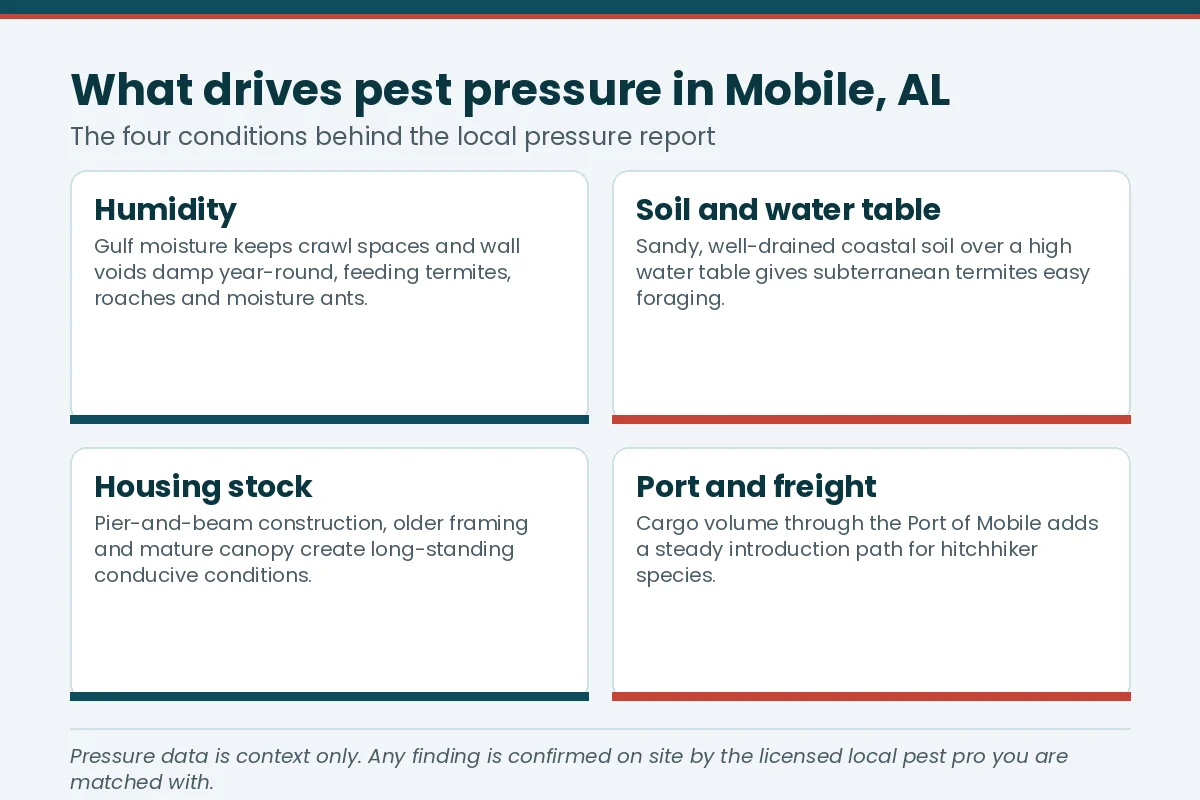 Fact card on the four conditions driving pest and termite pressure in Mobile AL — humidity, soil and water table, housing stock and port freight