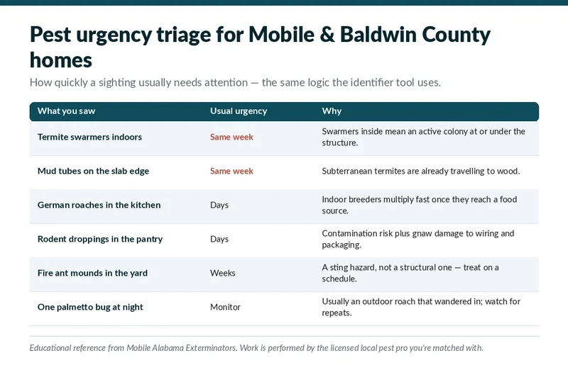Pest emergency urgency triage chart showing which Birmingham, AL pest problems need a same-day call