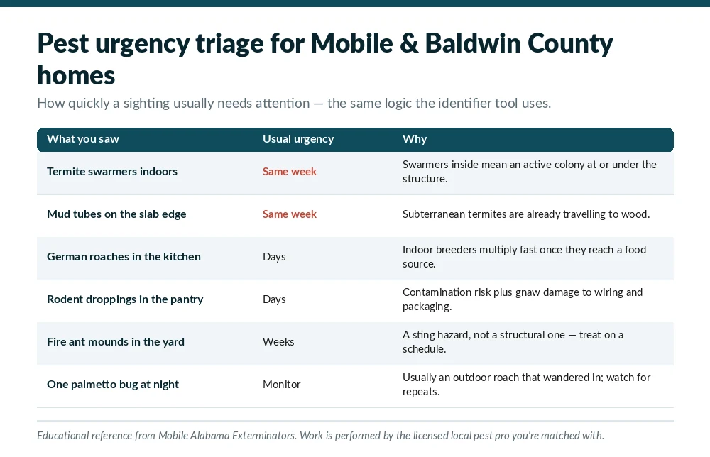 Pest urgency triage chart for Mobile and Baldwin County homes, showing which sightings need attention the same week and which can be monitored before the licensed local pest pro you're matched with inspects