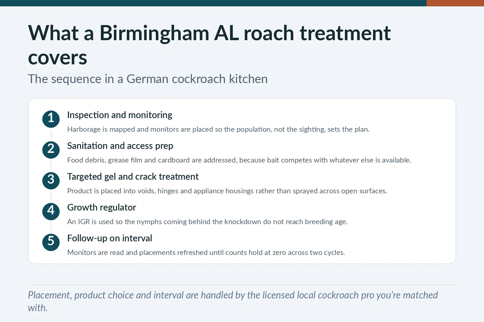 German cockroach treatment sequence for Birmingham, AL kitchens — inspection, sanitation prep, gel placement, growth regulator and follow-up