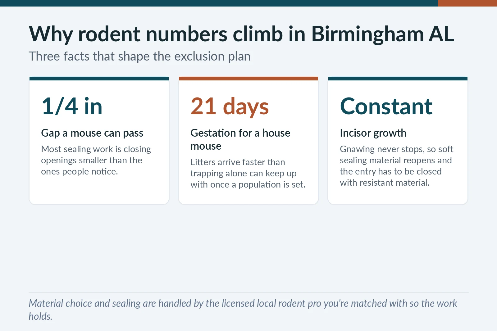 Rodent biology facts graphic for Birmingham, AL — quarter-inch entry gaps, three-week gestation and continuous incisor growth