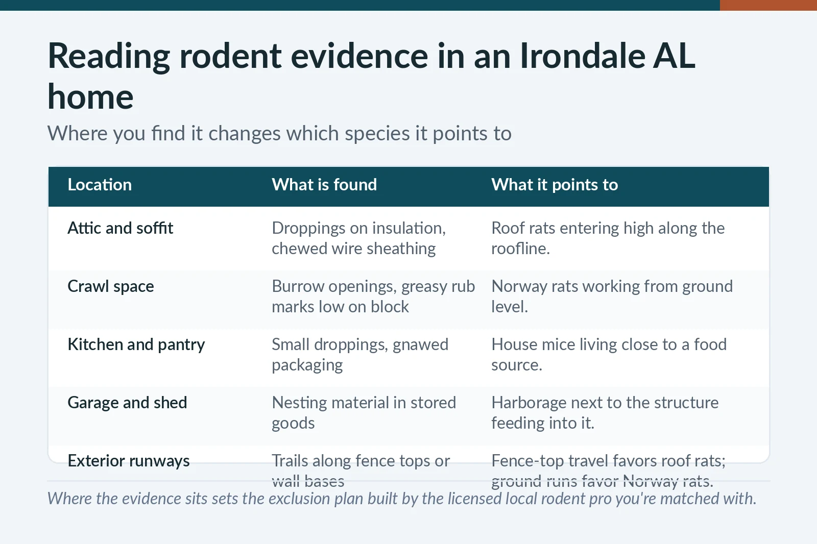 Rodent evidence location chart for Irondale, AL homes — attic, crawl space, kitchen, garage and exterior runways with likely species