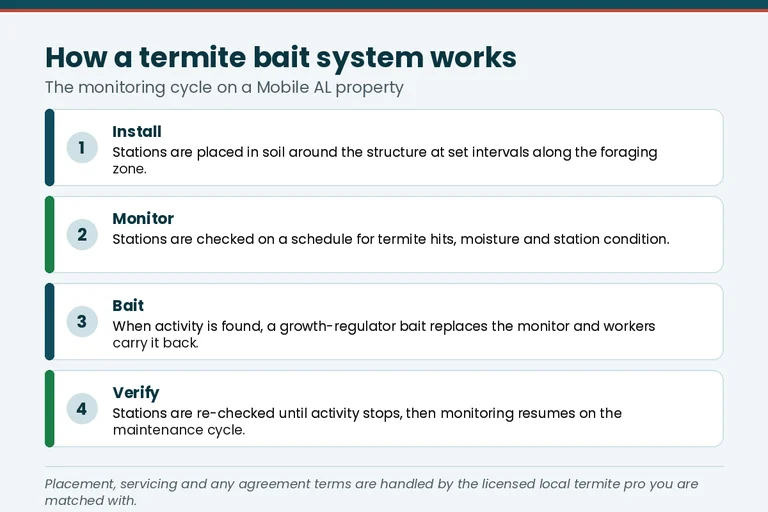 In-ground termite bait station monitoring steps, a common fit for Hoover's steep Bluff Park and Shades Mountain brow lots