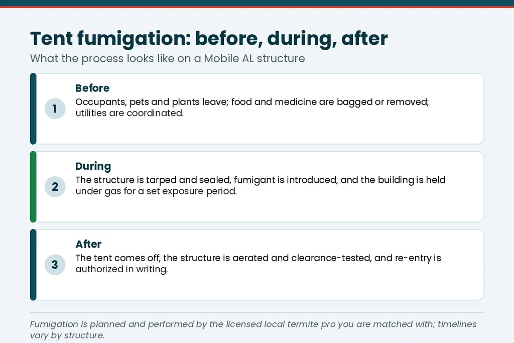 Before, during and after graphic for tent fumigation on a Mobile AL structure, performed by the licensed local termite pro you're matched with