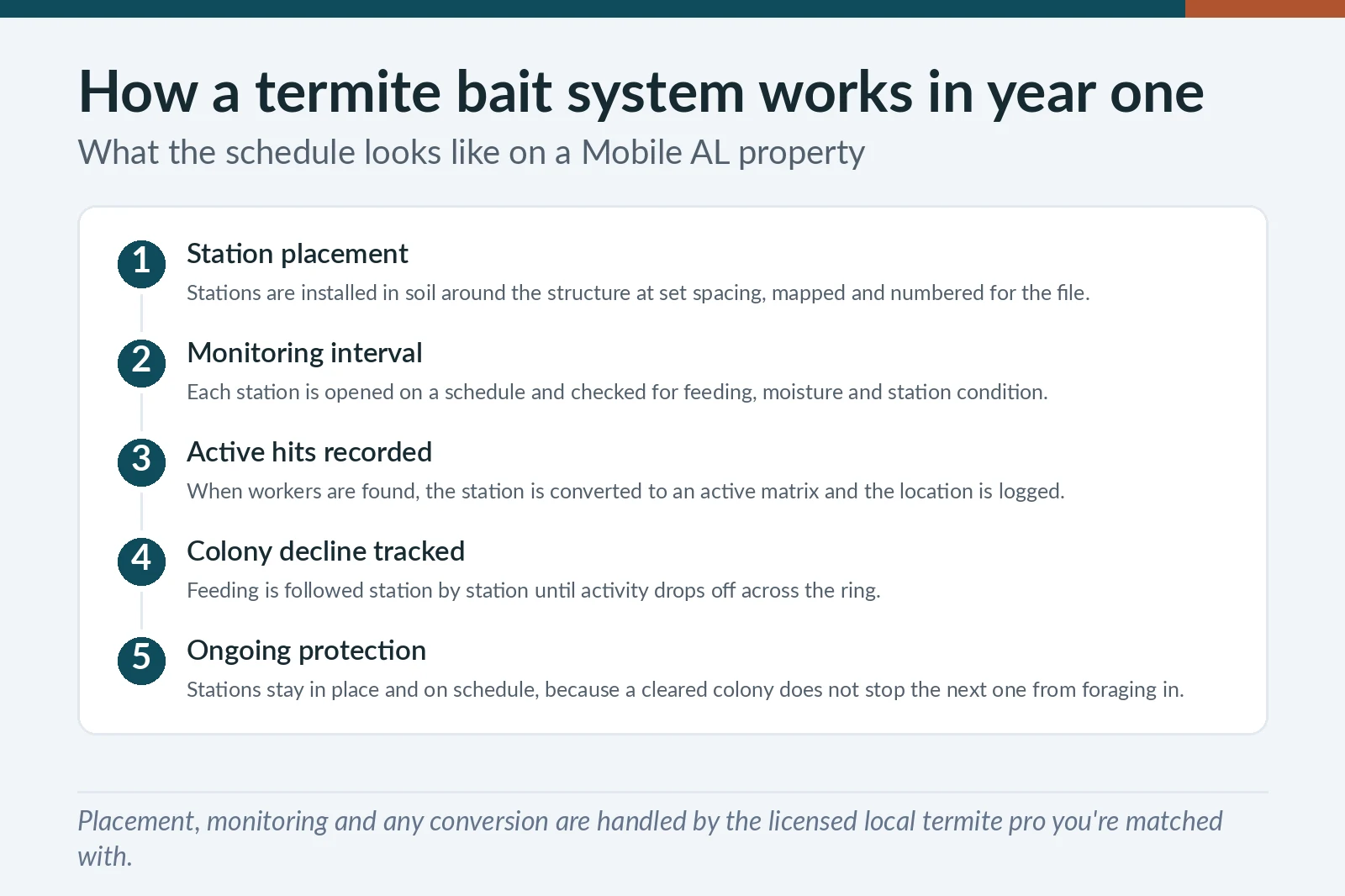 Termite bait system first-year sequence for Mobile, AL properties — station placement, monitoring interval, active hits and ongoing protection