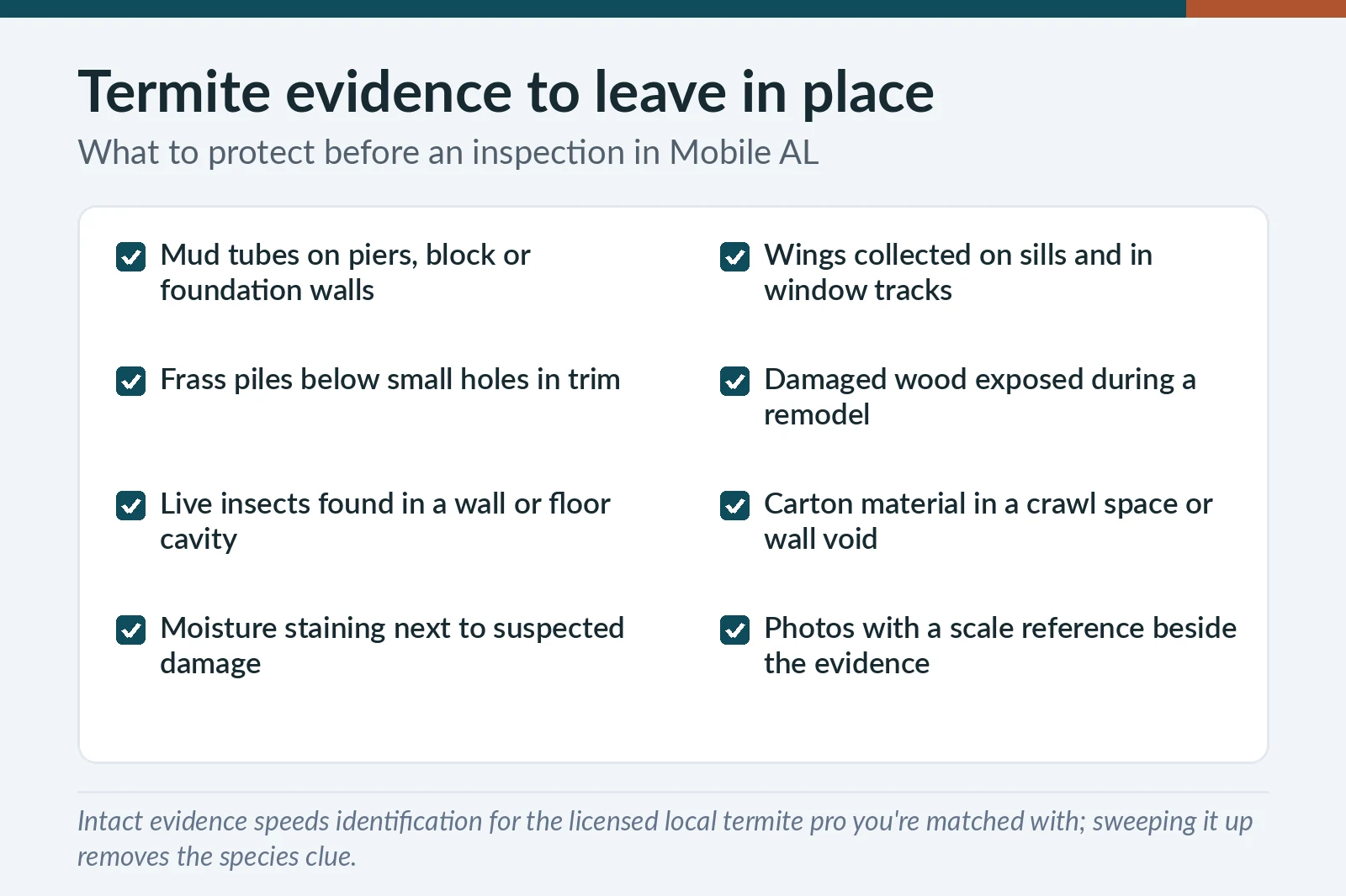 Checklist of termite evidence to leave undisturbed before an inspection in Mobile, AL — mud tubes, shed wings, frass, carton material