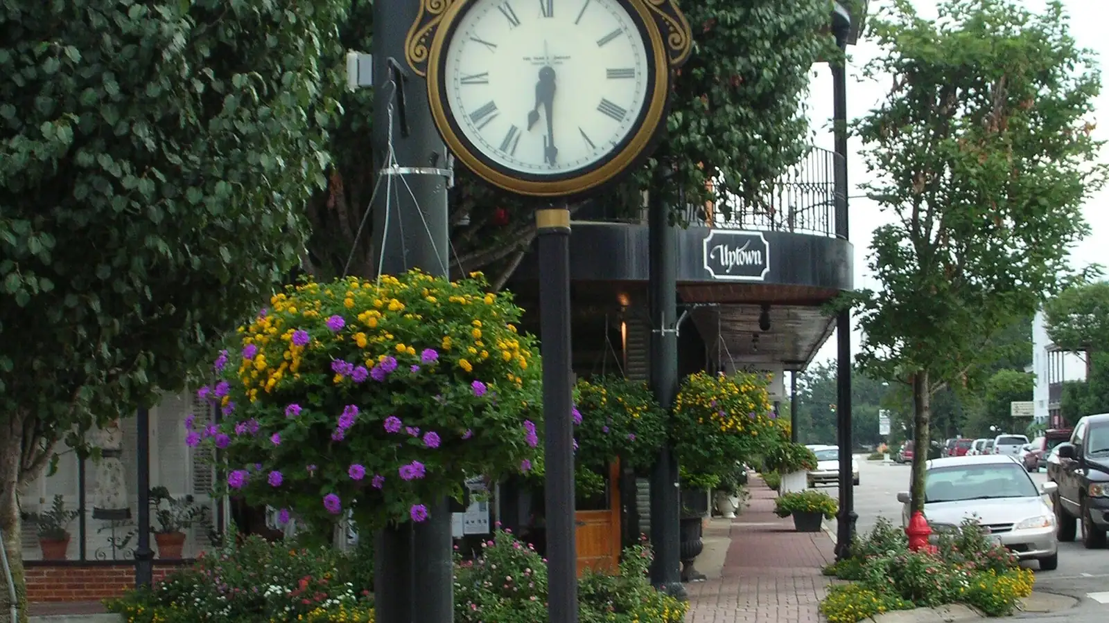 Oak-lined street in downtown Fairhope, Alabama, where older wood-frame homes need routine termite inspection