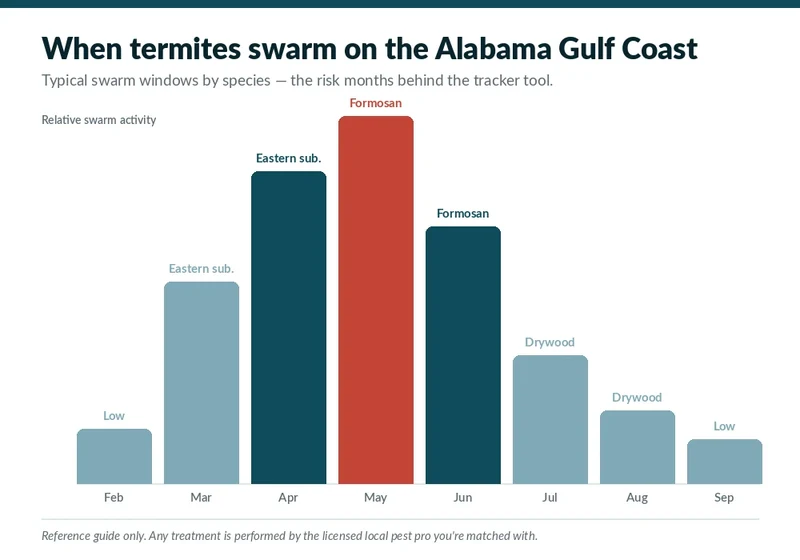 Termite swarm season calendar for the Alabama Gulf Coast, relevant to Gulf Shores, AL property owners