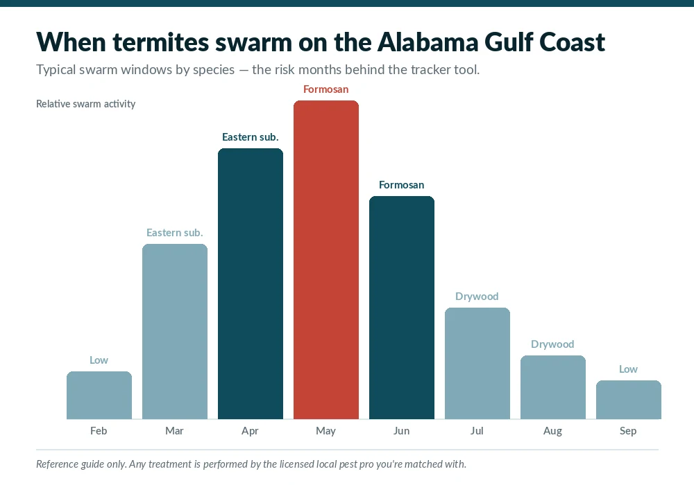 Termite swarm season calendar for the Alabama Gulf Coast, showing eastern subterranean swarms in March and April and Formosan swarms in May and June around Mobile, AL homes