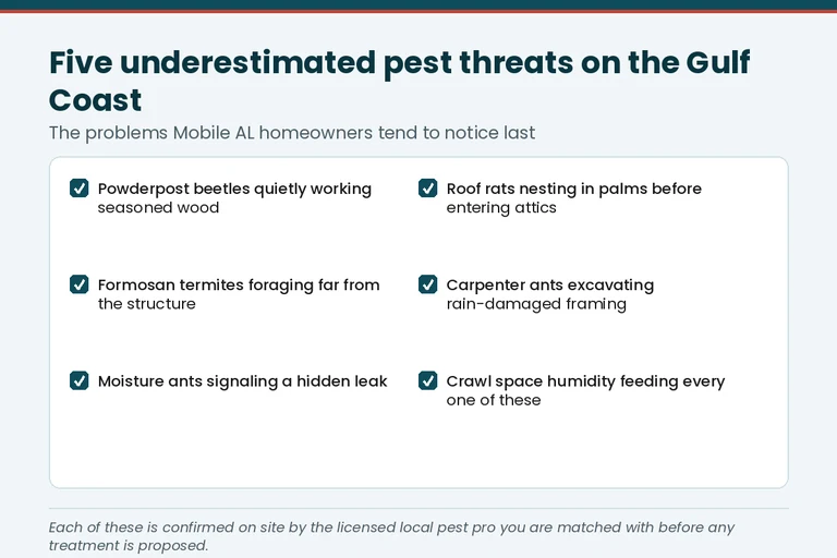 Checklist of underestimated pest threats for a Forest Lake, Tuscaloosa home