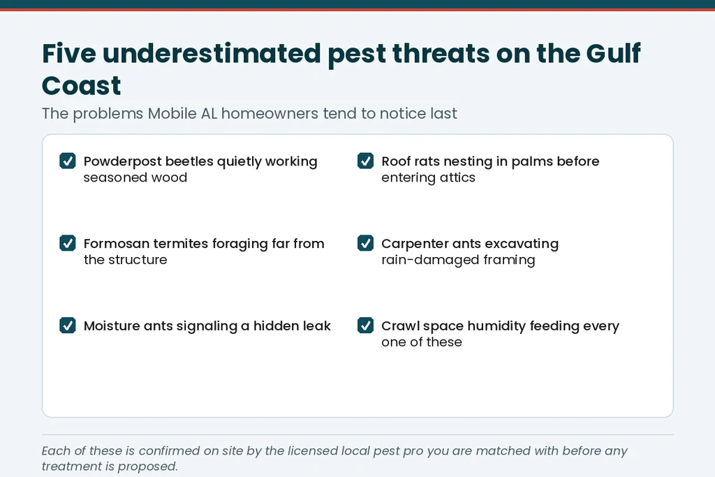 Checklist graphic of five underestimated Gulf Coast pest threats, each confirmed on site by the licensed local pest pro you're matched with in Mobile AL