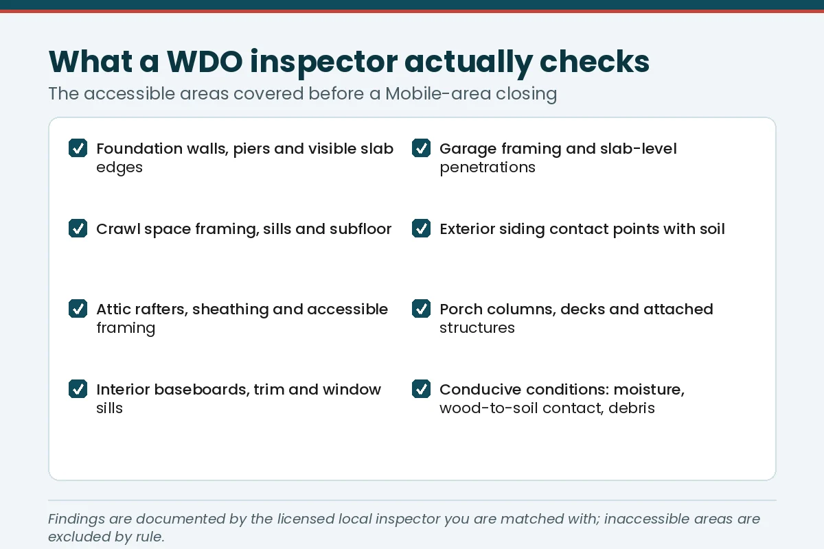 Checklist graphic of the accessible areas a WDO inspector examines before a Mobile-area AL closing, from crawl space framing to porch columns