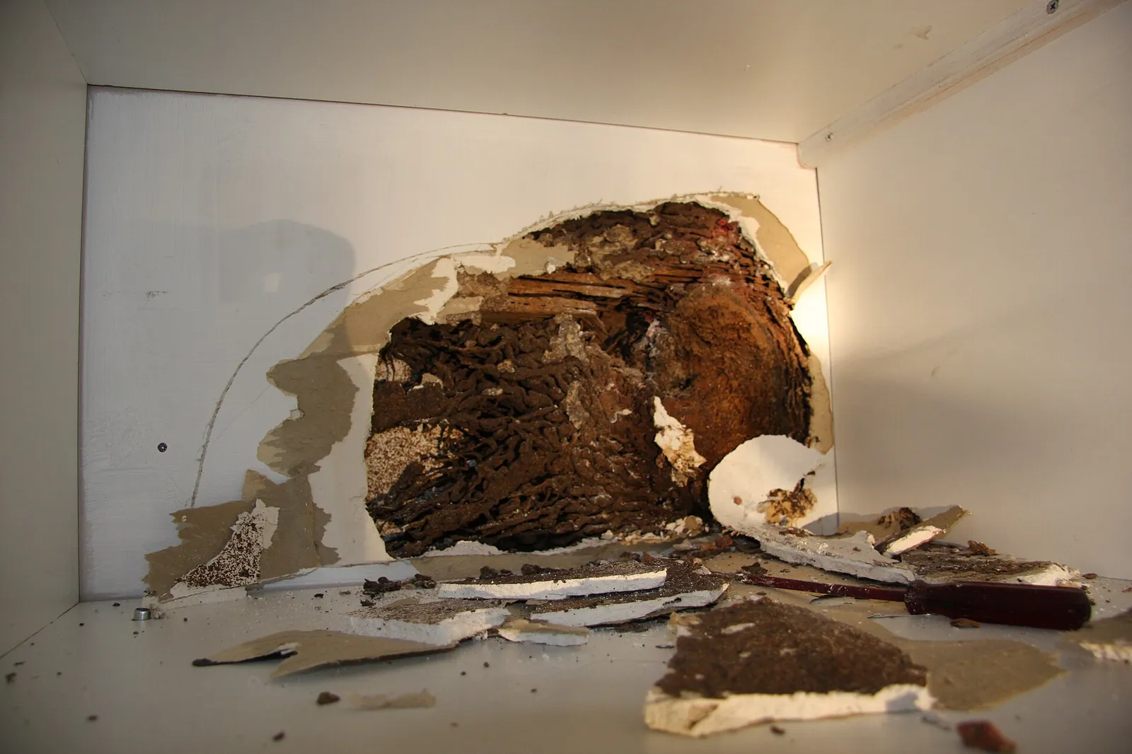 Termite evidence inside a wall cavity found during a Spanish Fort, AL Formosan termite inspection
